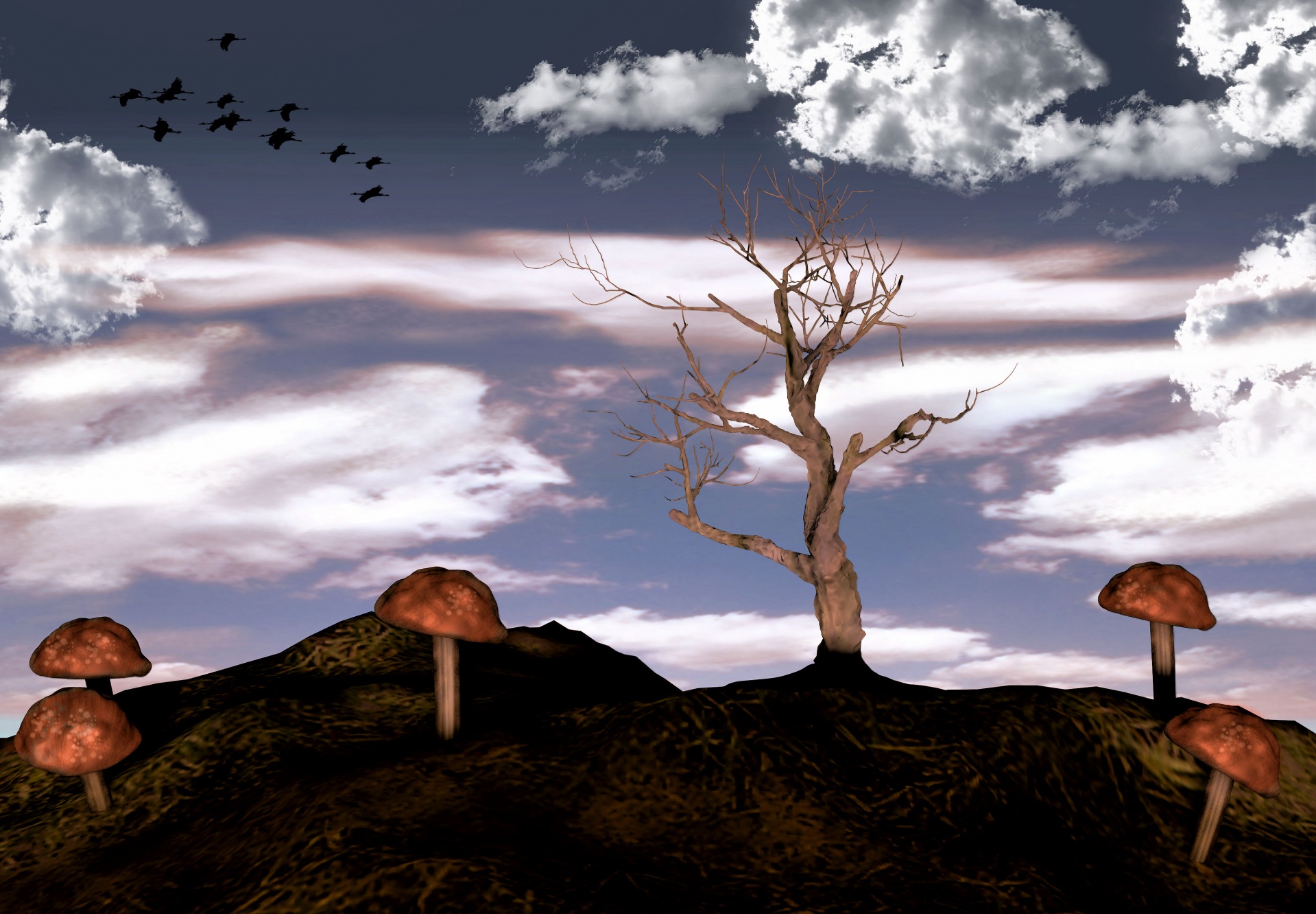 mushrooms tree clouds free photo