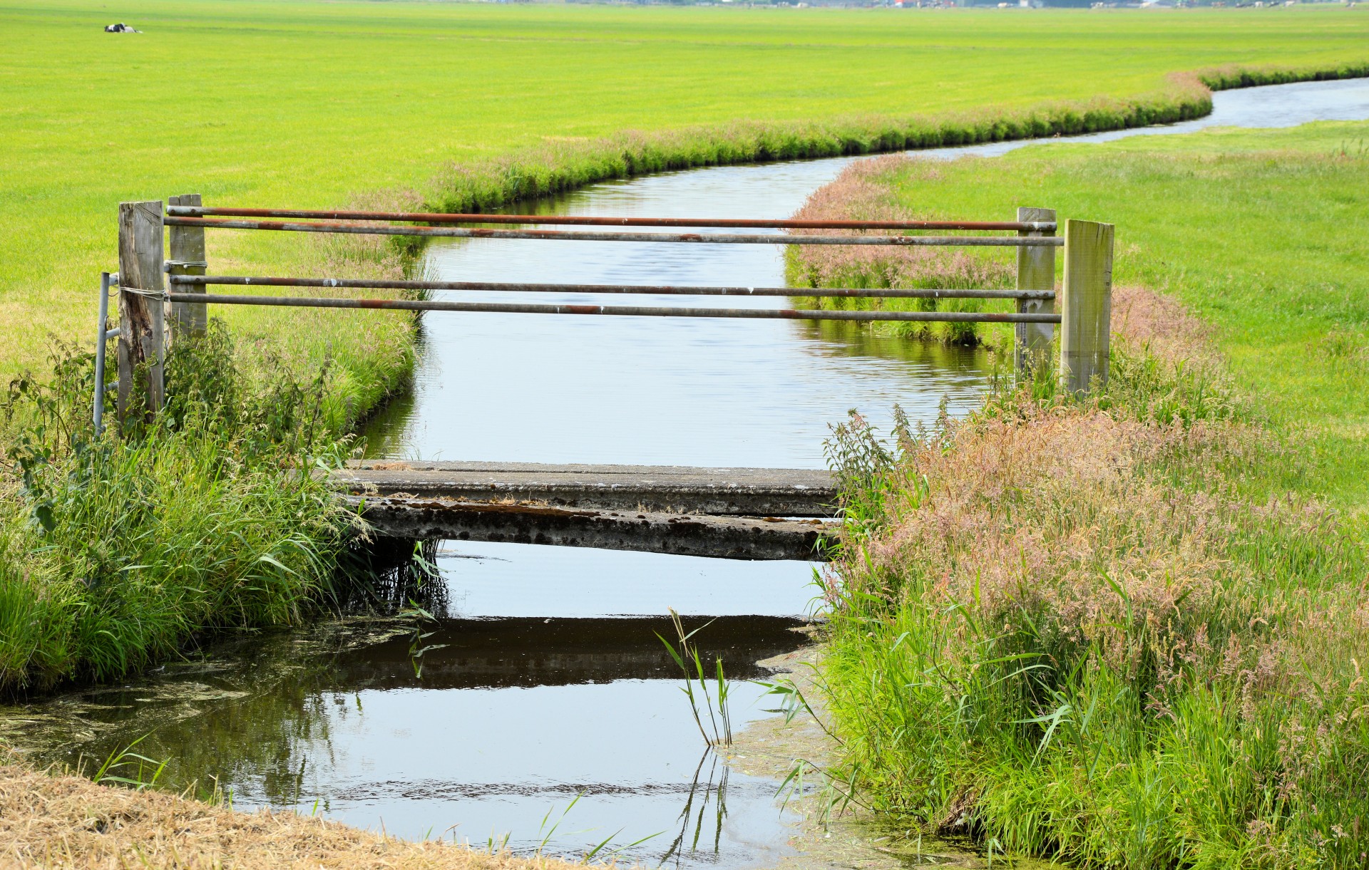 landscape nature holland free photo