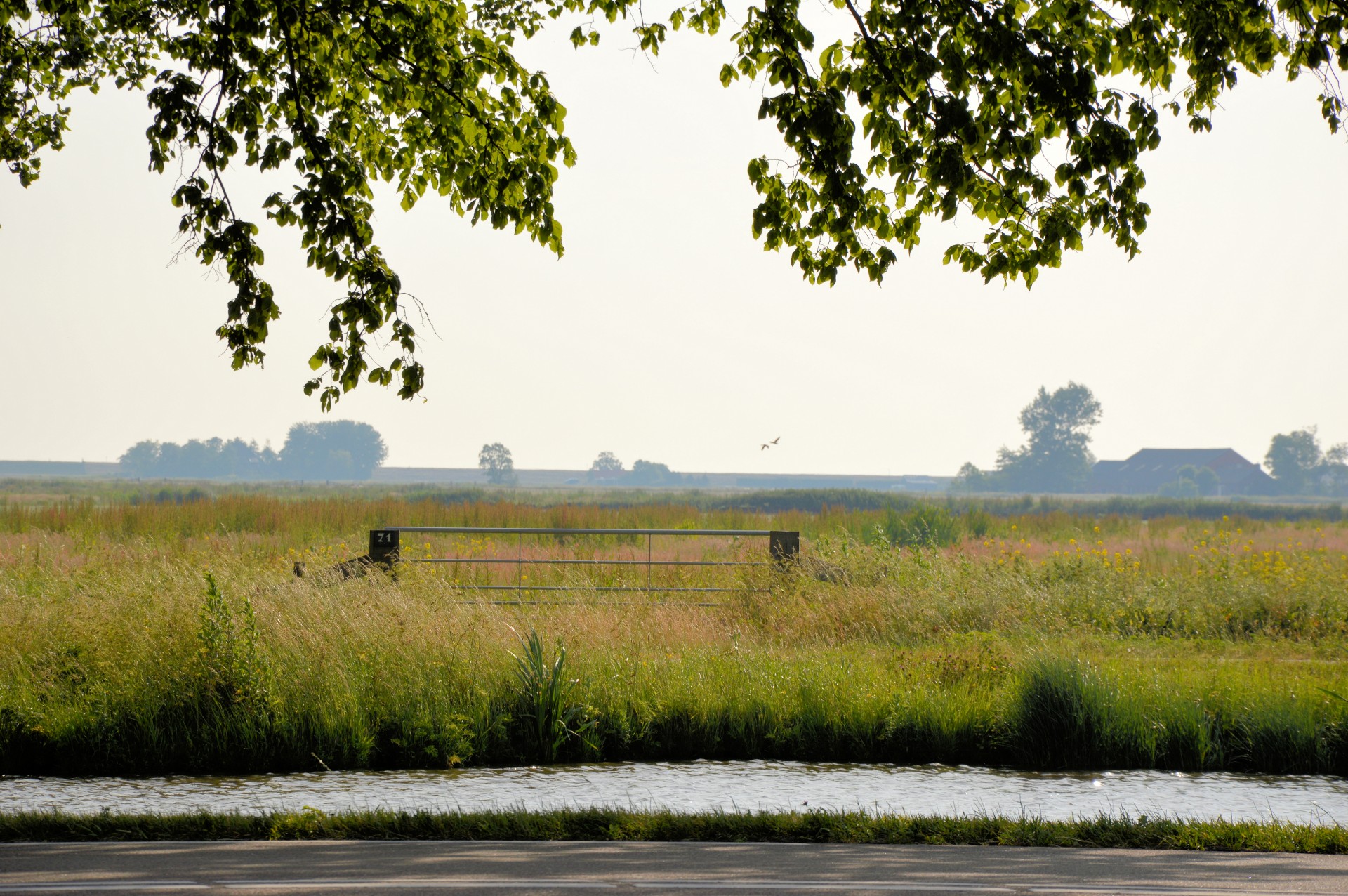 landscape nature holland free photo