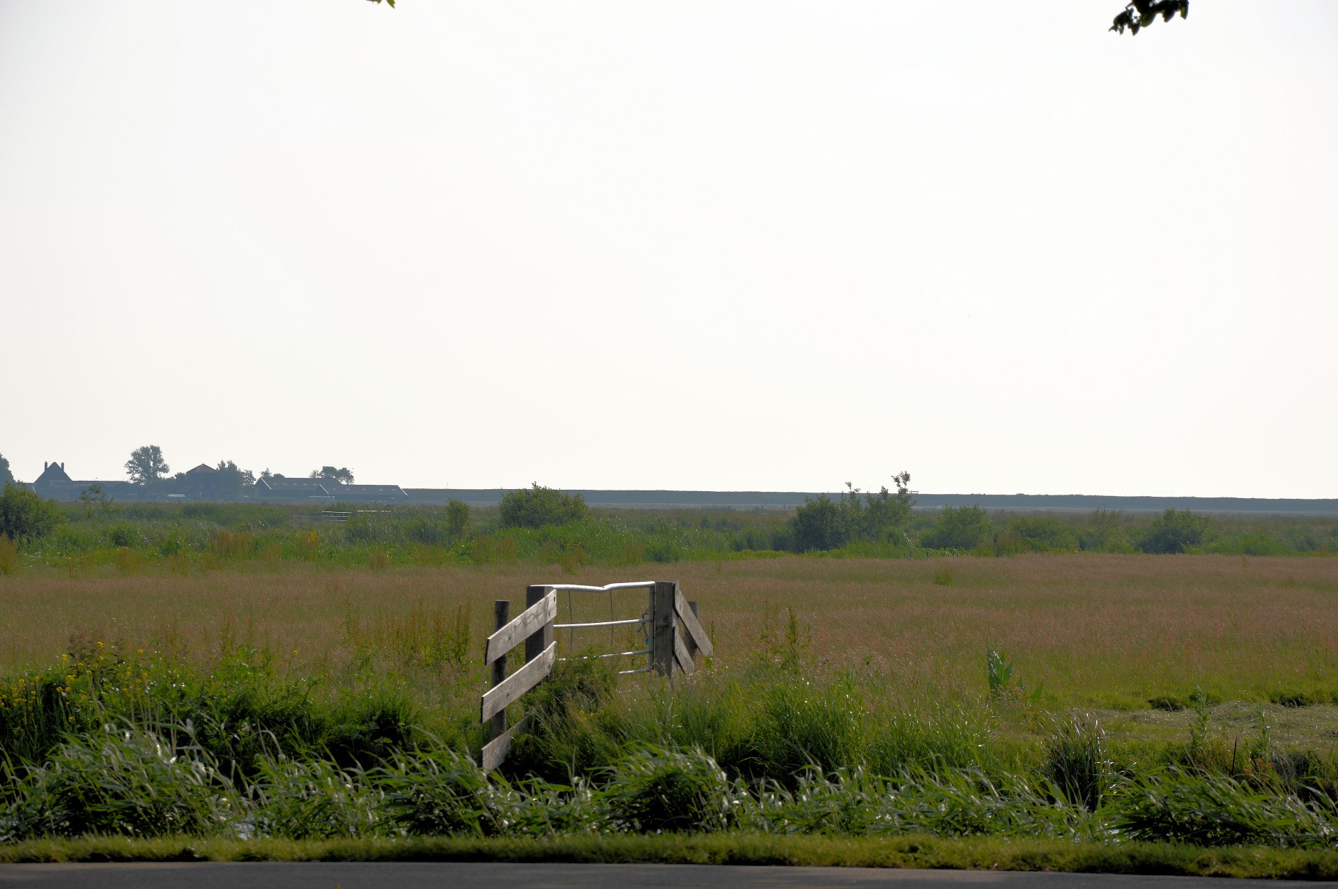 landscape nature holland free photo