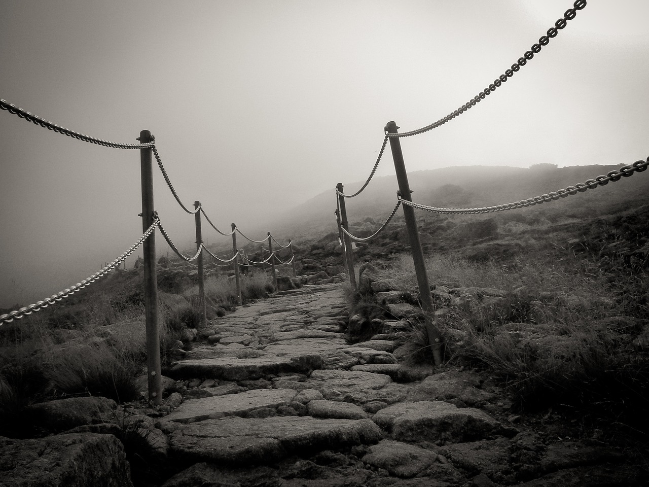 lane black and white landscape free photo