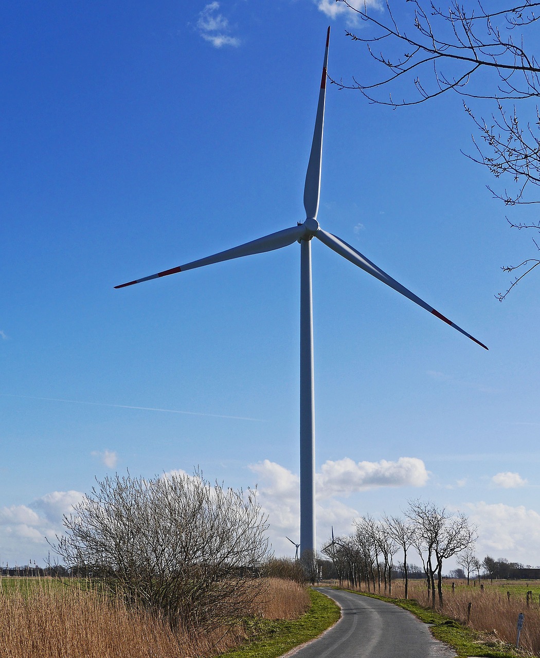 lane pinwheel wind turbine free photo