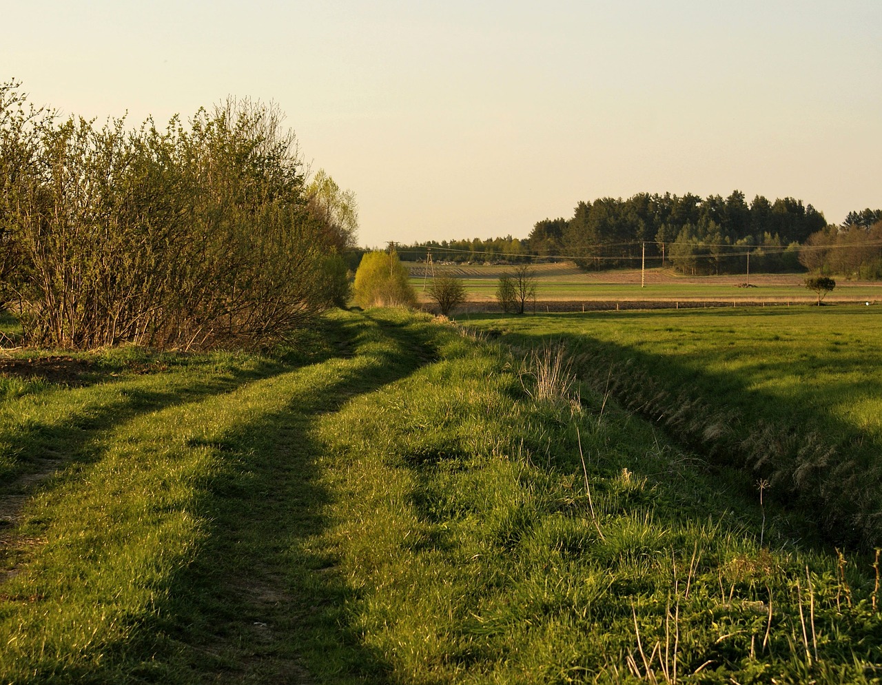 lane meadow field free photo