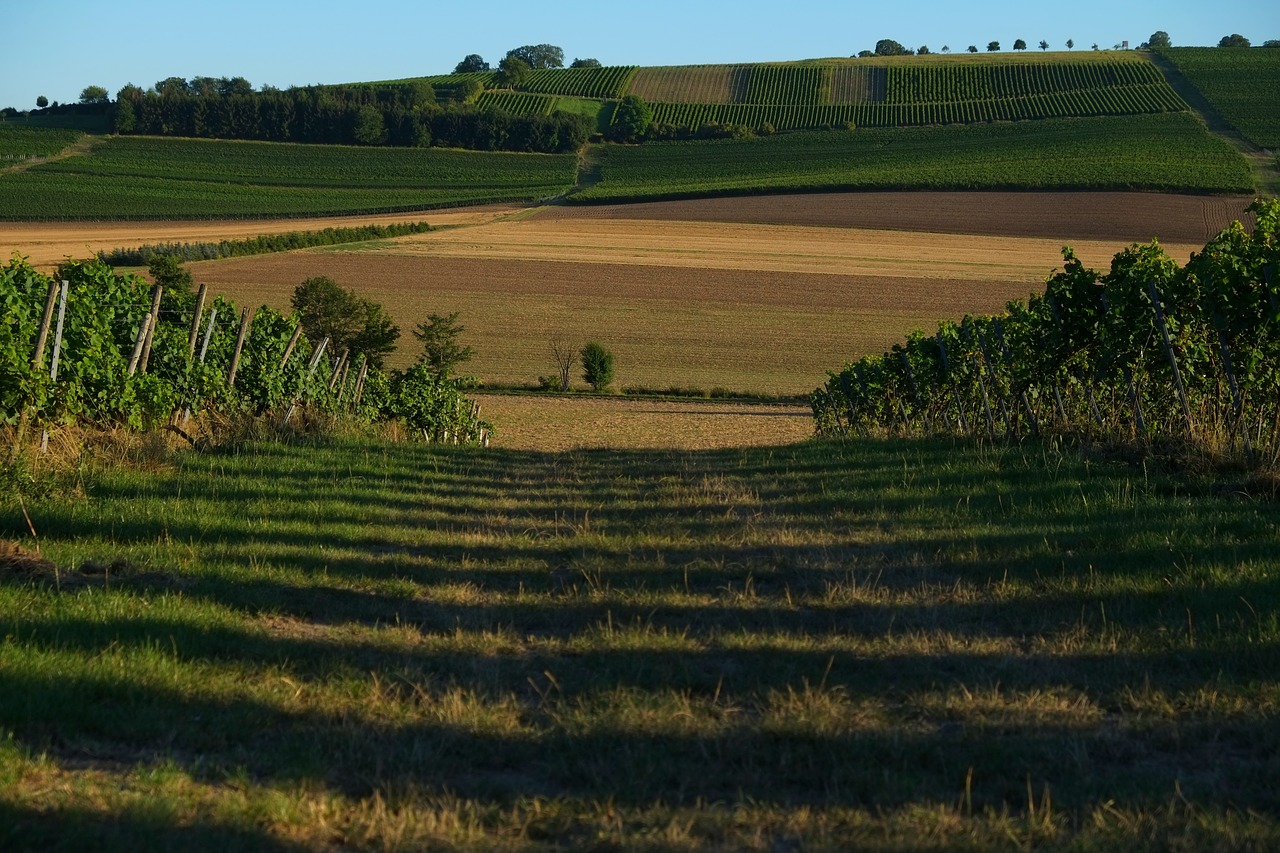 lane landscape nature free photo