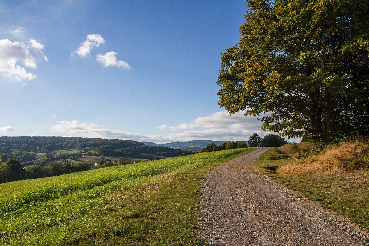 lane landscape nature free photo