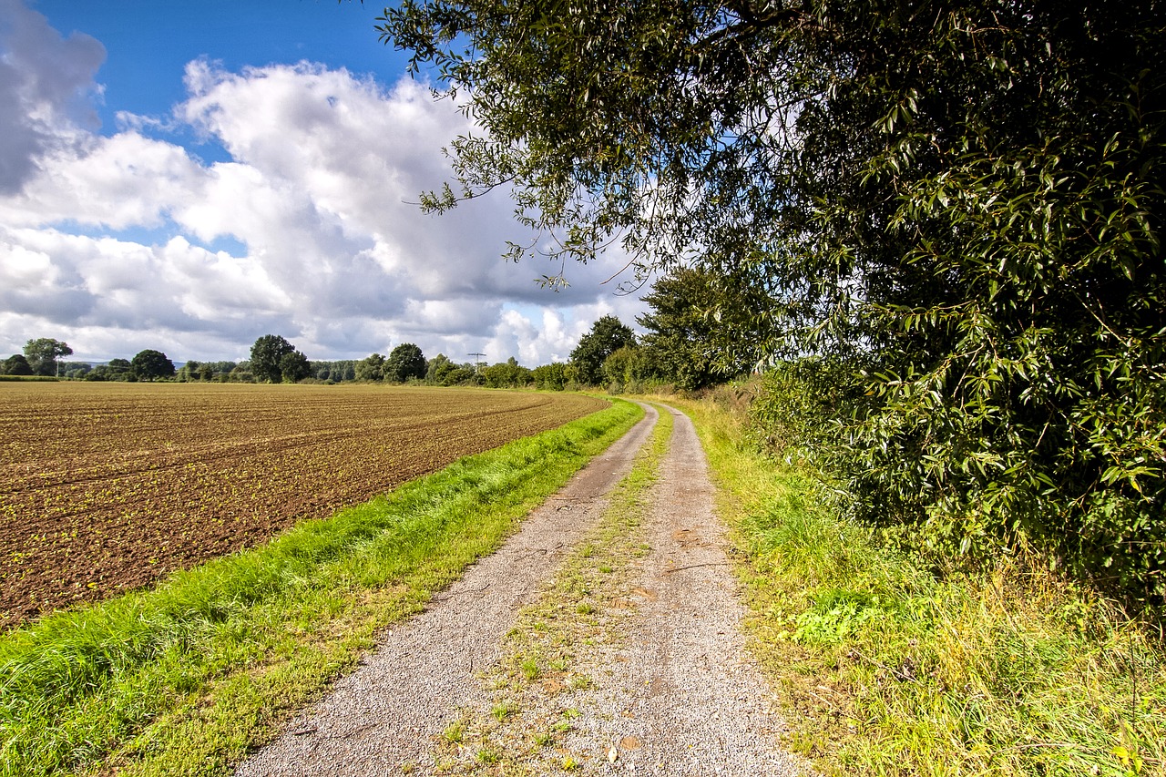 lane away nature free photo