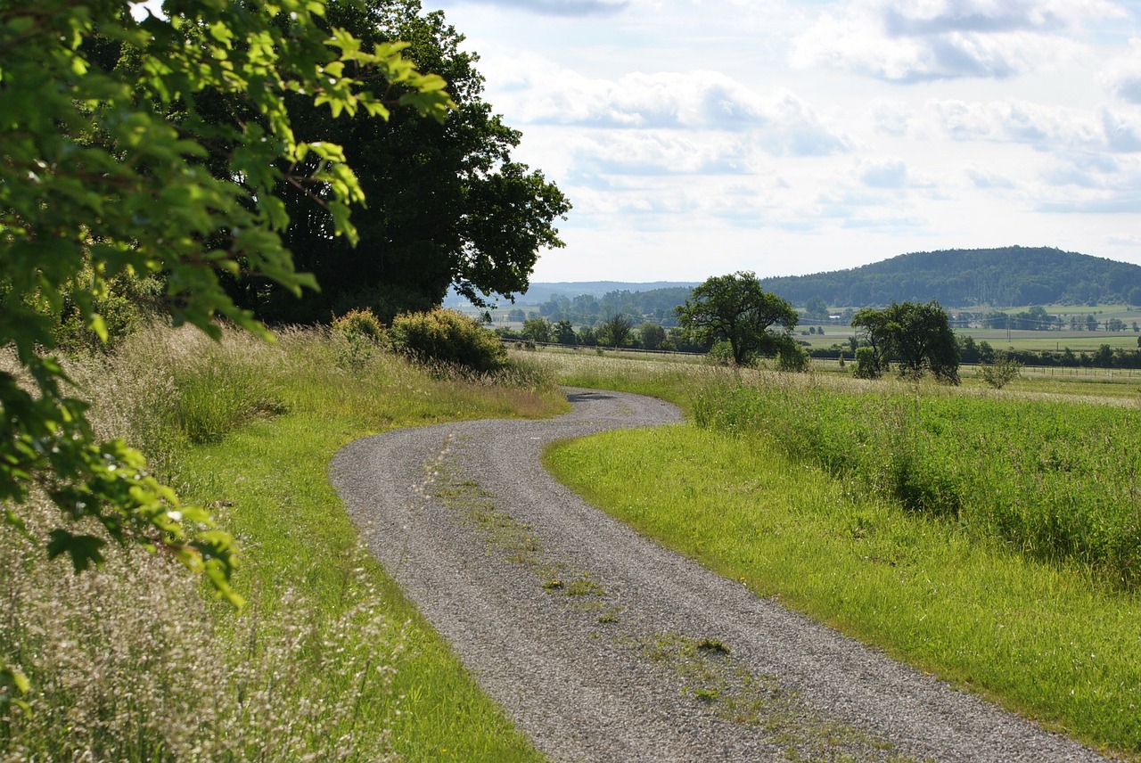 lane away nature free photo