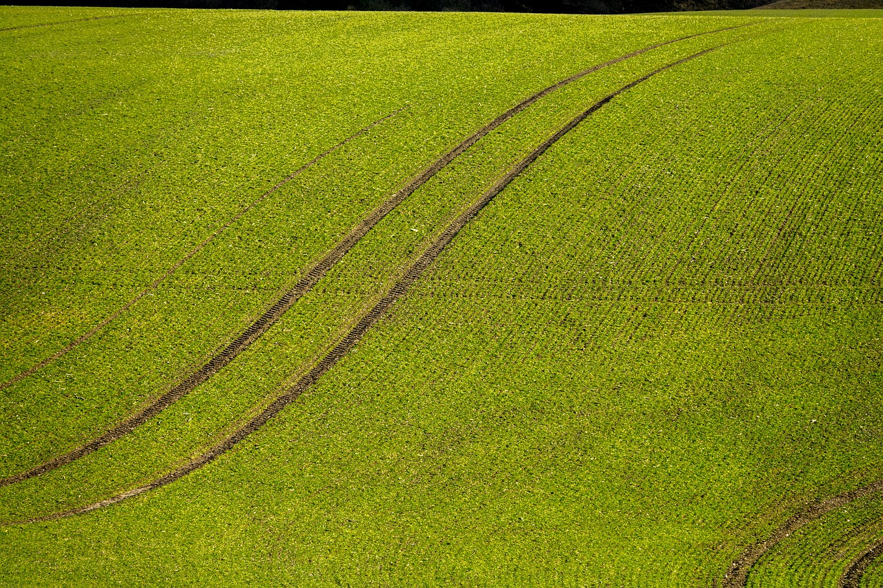 lane field abstract free photo