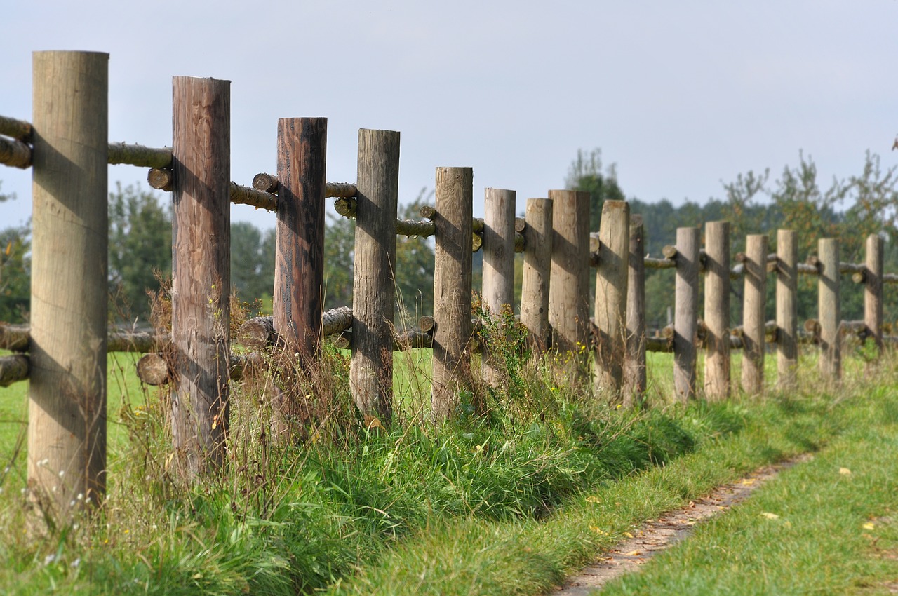 lane summer fence free photo