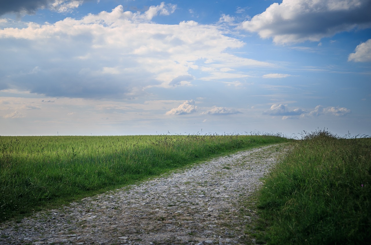 lane  spring  landscape free photo