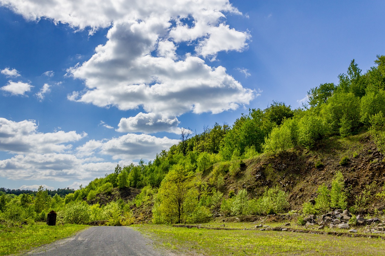 lane landscape trees free photo