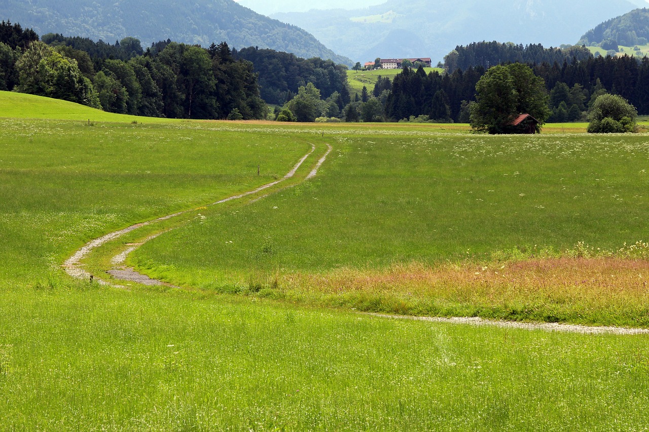 lane away hiking free photo