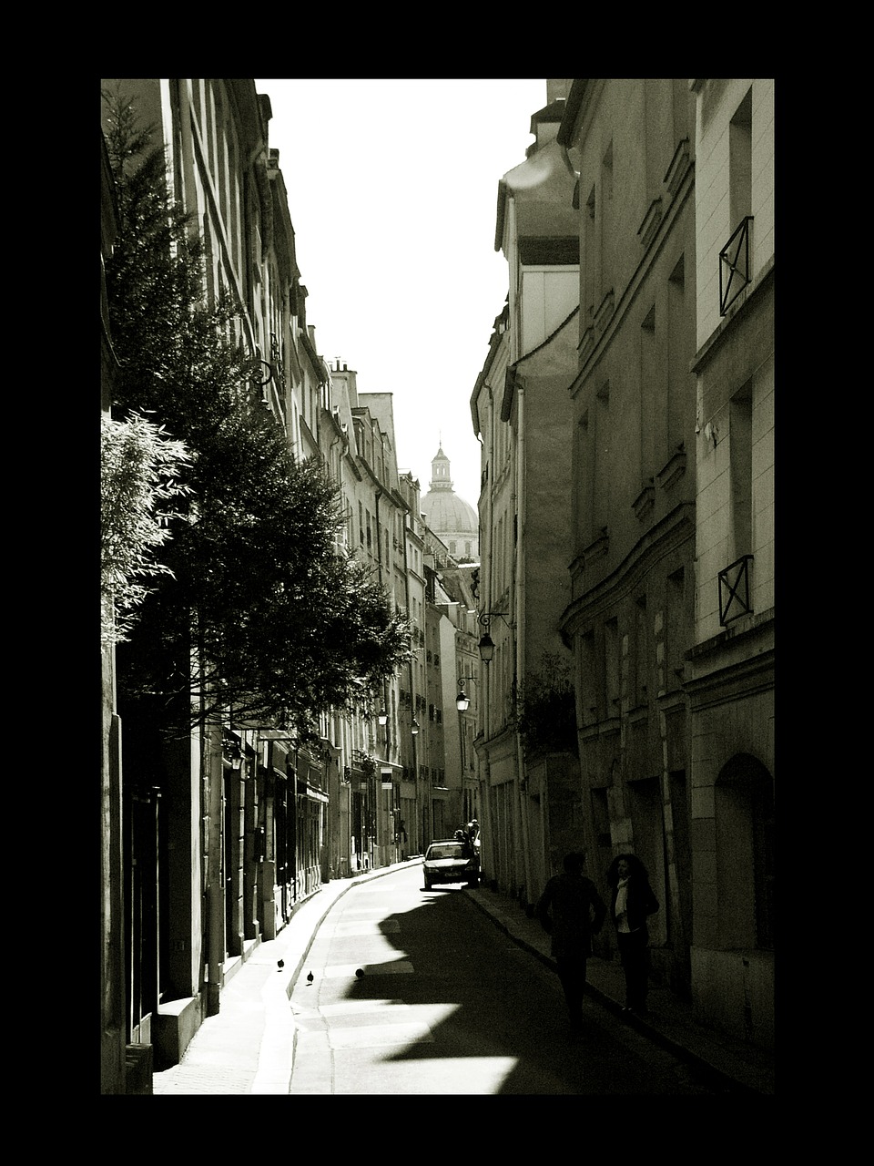 lane paris district free photo