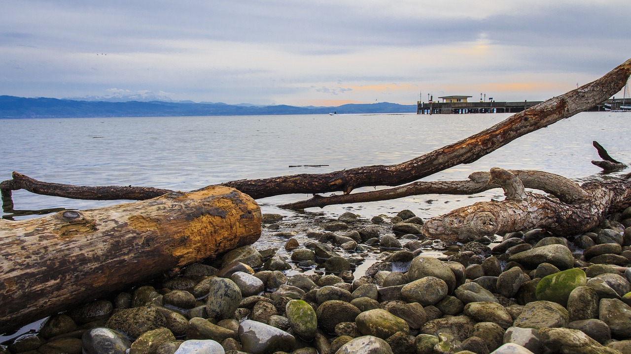 langenargen bank lake constance free photo