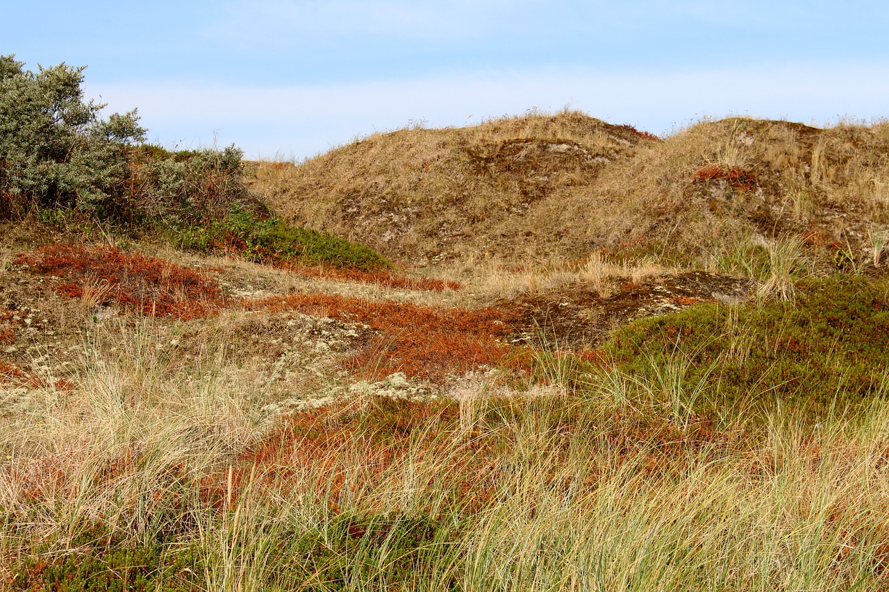 langeoog  dune  sky free photo