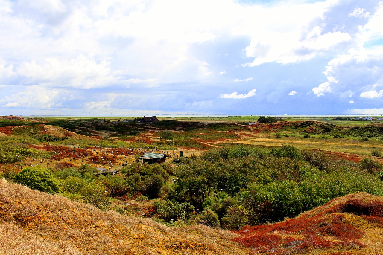 langeoog  island  east frisia free photo