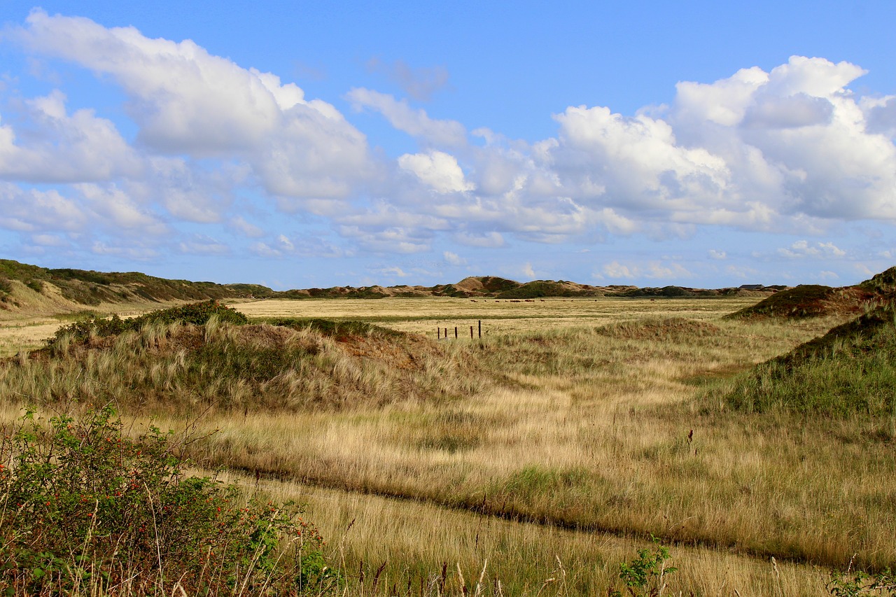 langeoog  landscape  sky free photo