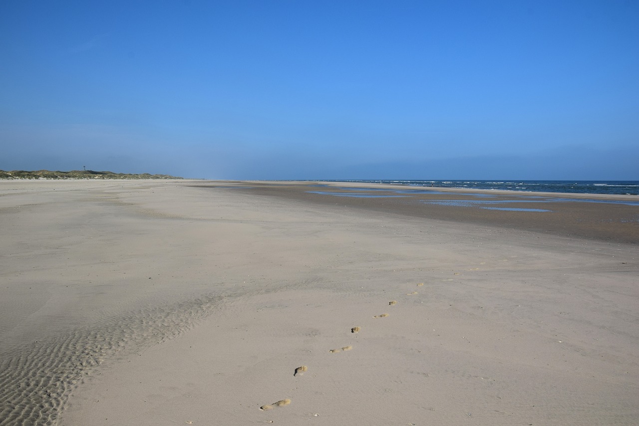 langeoog beach  beach  dune free photo