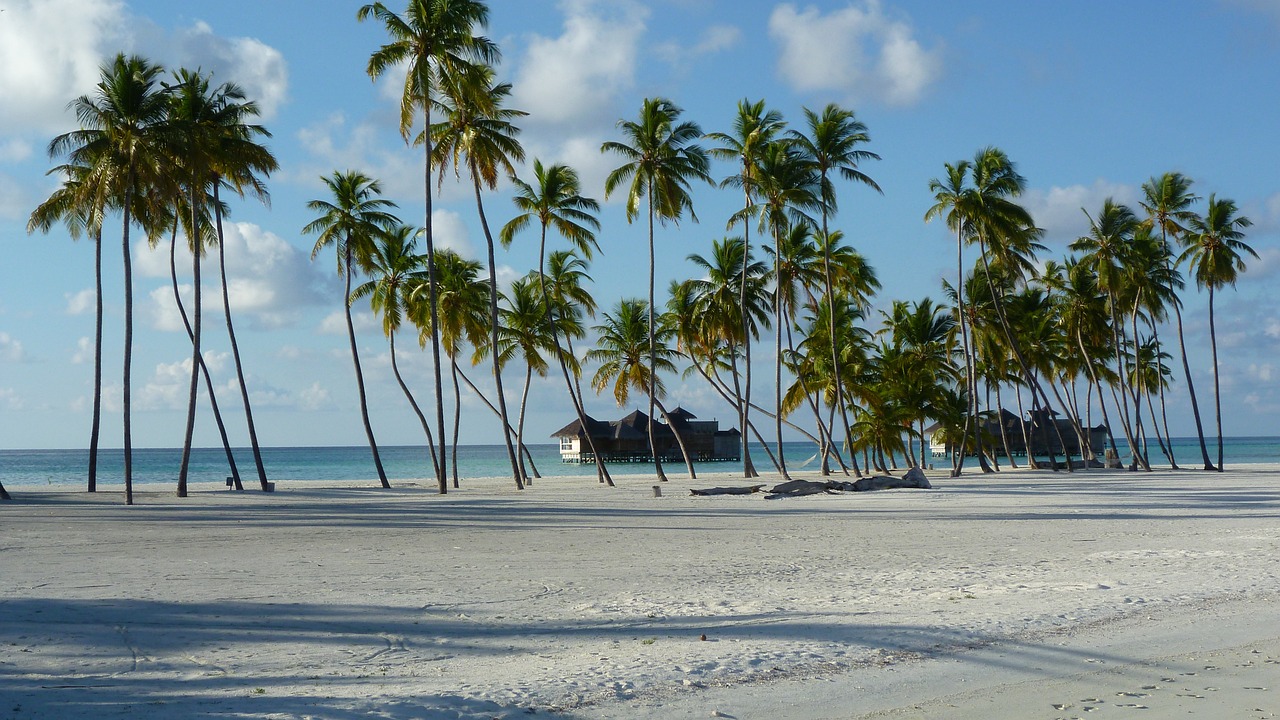 lankanfushi maldivermna island paradise free photo