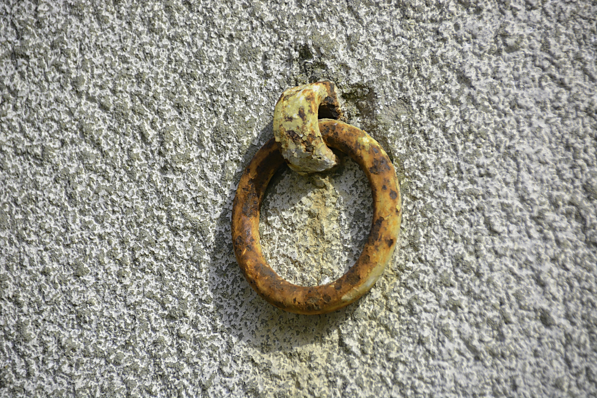 ring wall rust free photo
