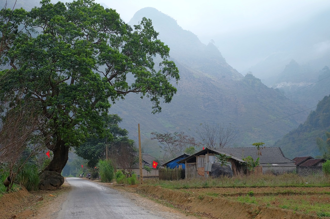 lanscapes  moutains  hill free photo