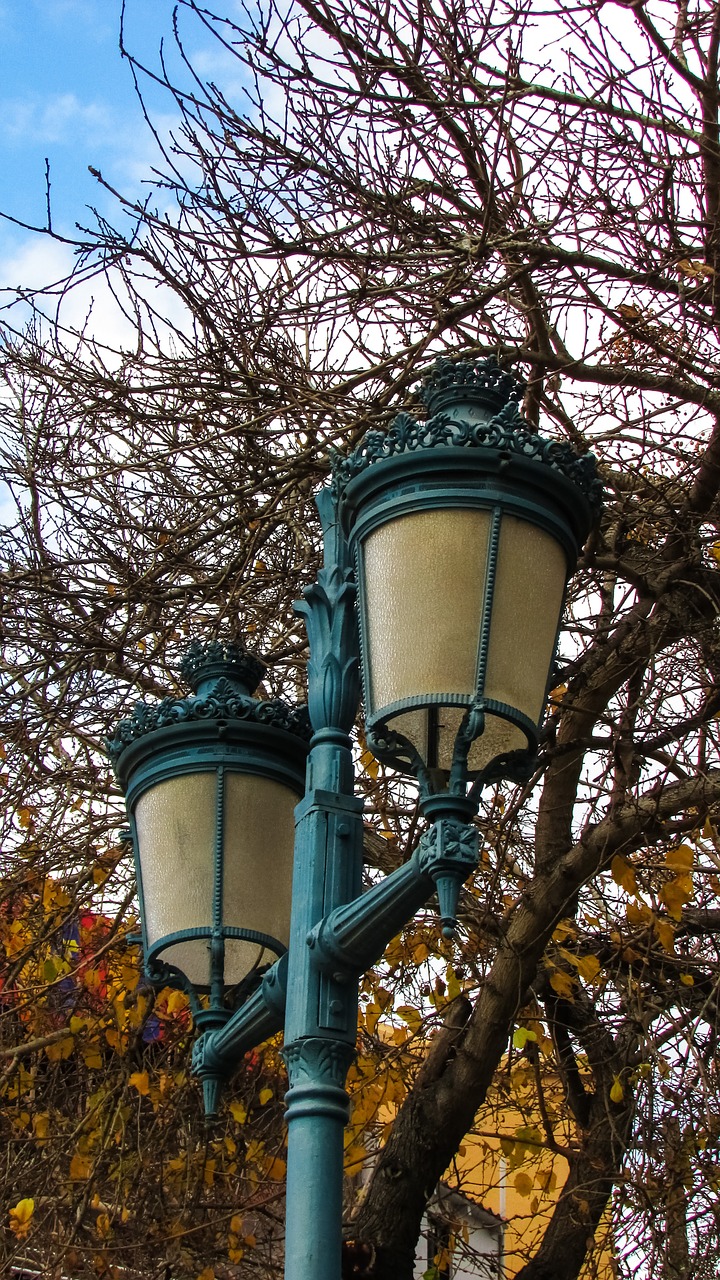 lantern elegant light free photo