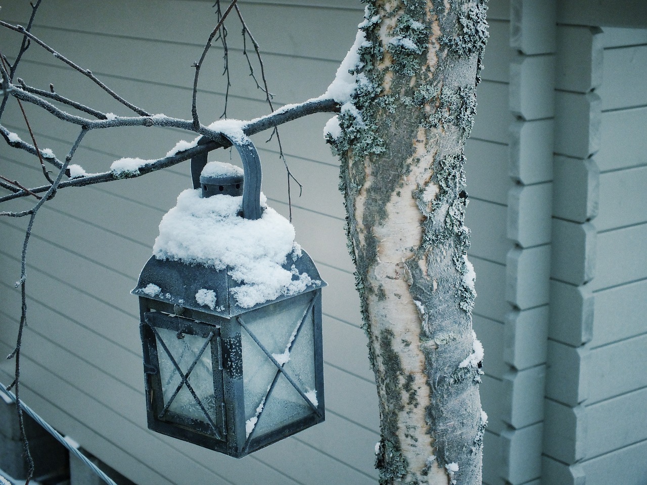 lantern frozen lantern tree free photo