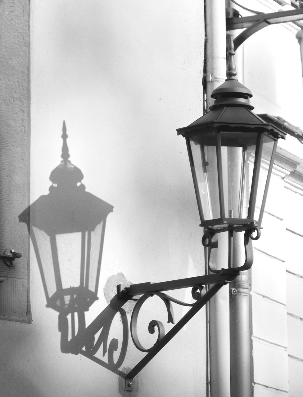 lantern light shadow free photo