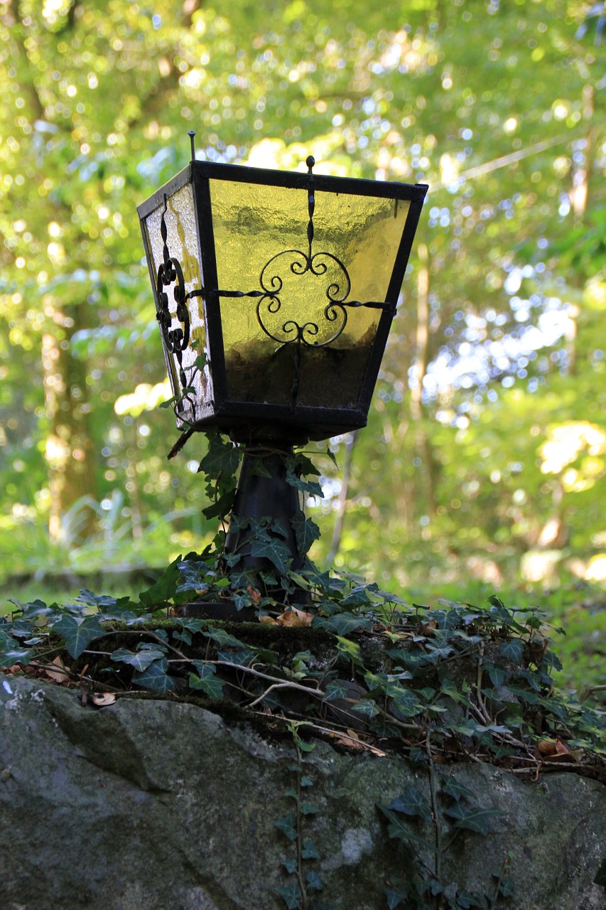 lantern decay ivy free photo