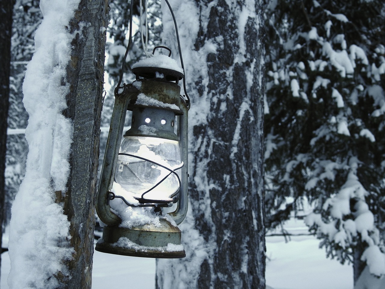 lantern light lamp free photo