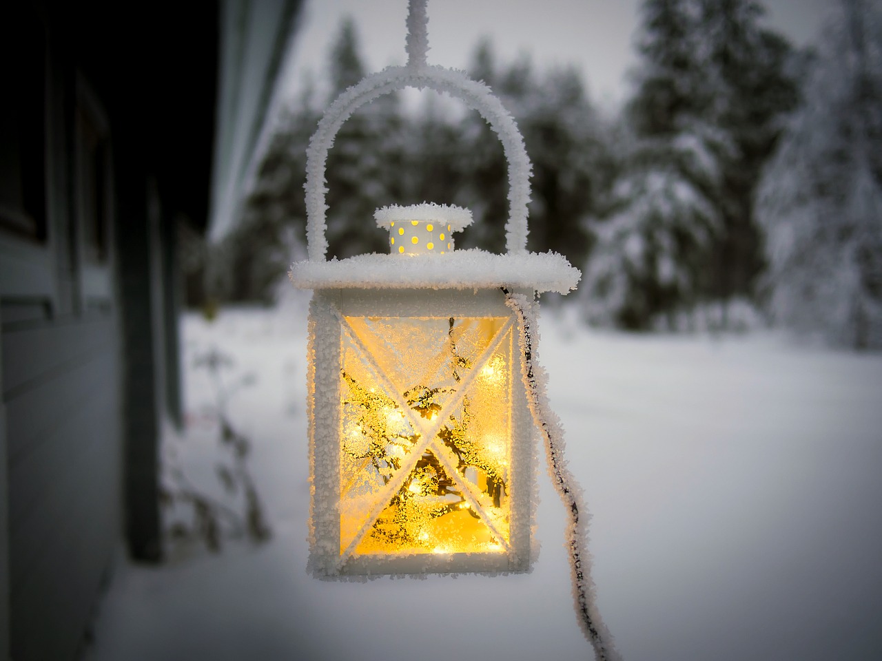 lantern light winter free photo