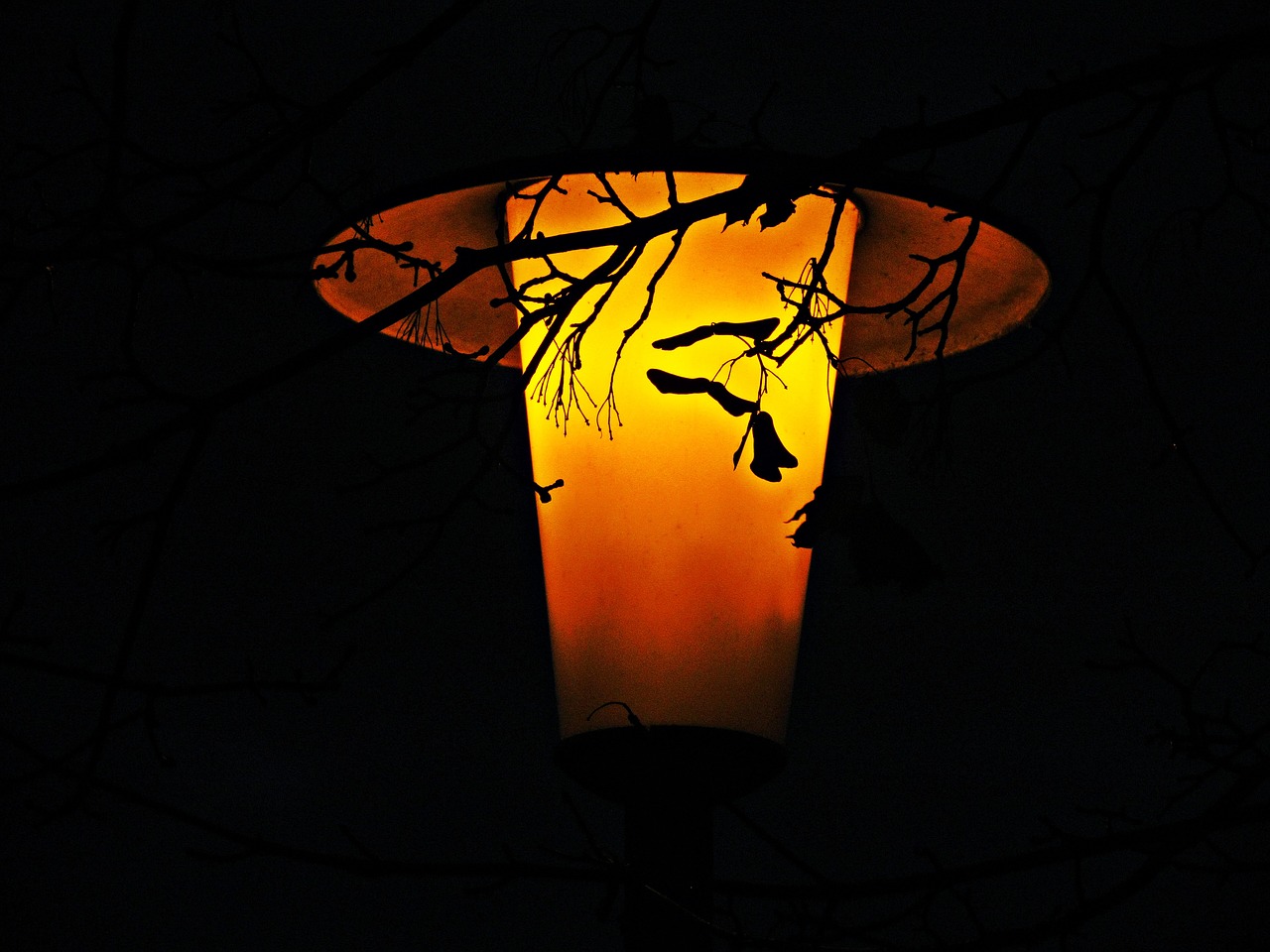 lantern night street free photo