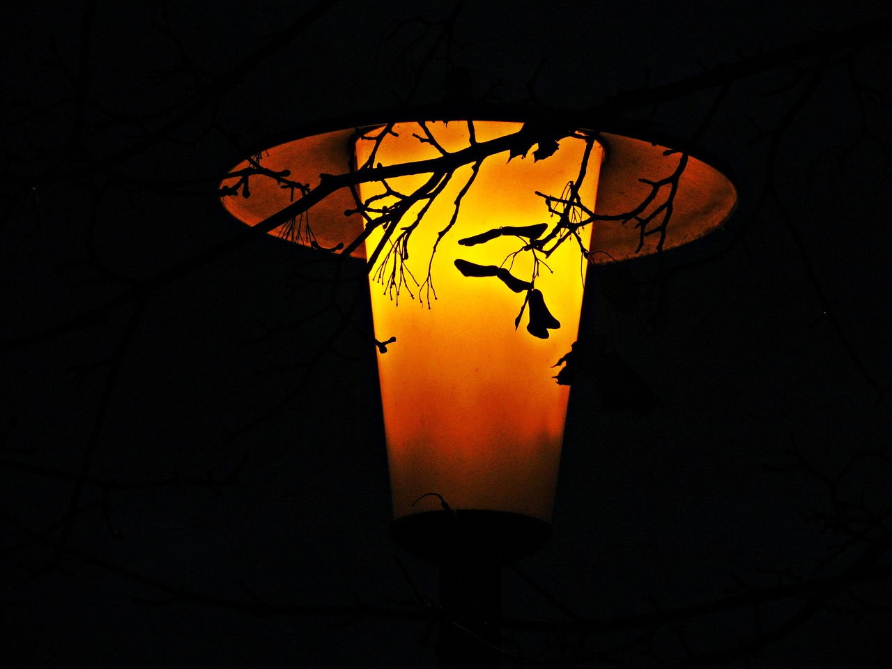 Lantern,night,street,way,street light - free image from needpix.com