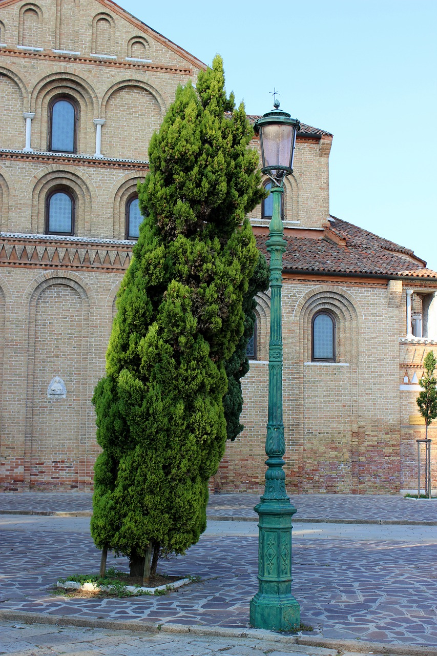 lantern street lamp tree road free photo