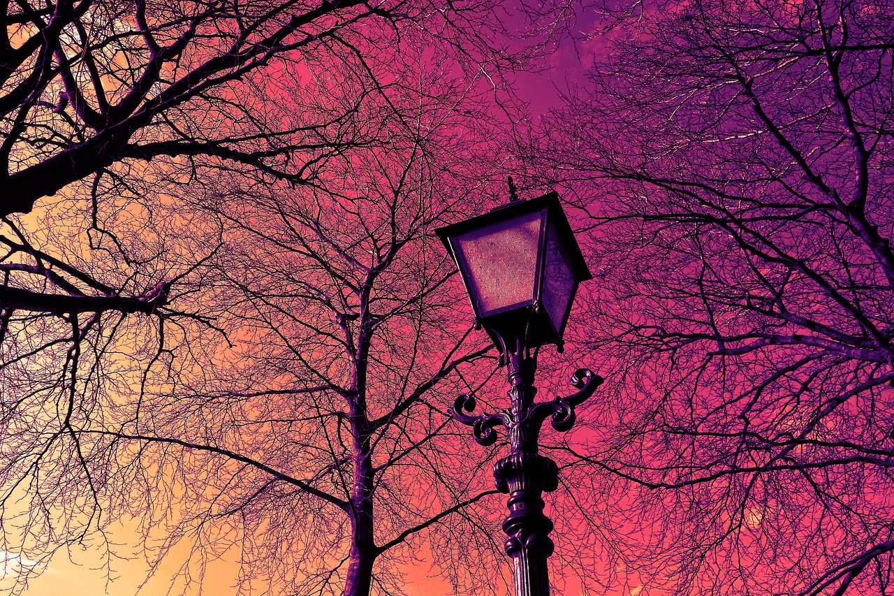 lantern streetlamp lamppost free photo
