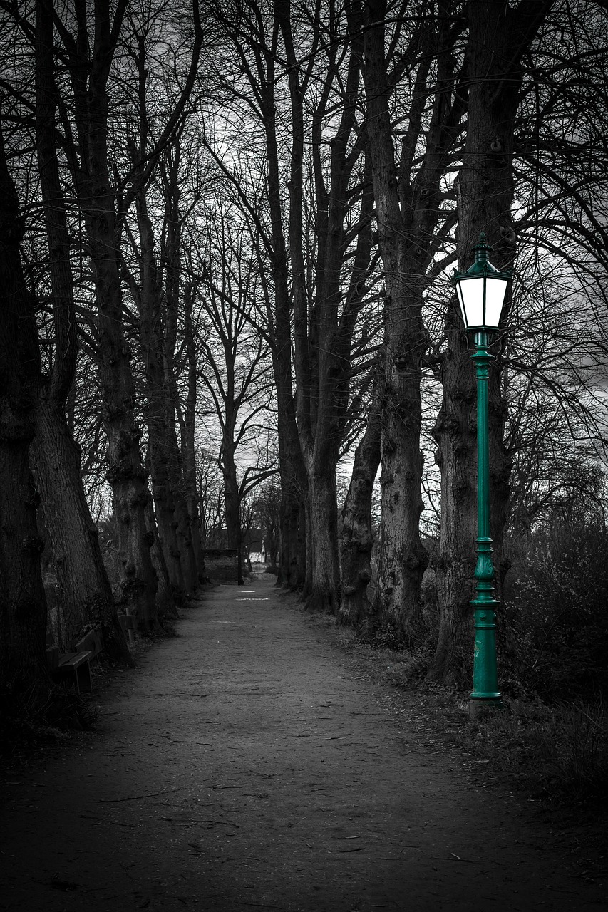 lantern twilight lighting free photo