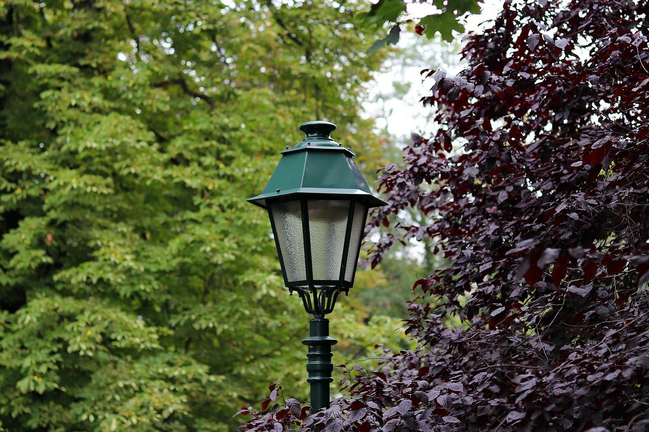 lantern  park  trees free photo