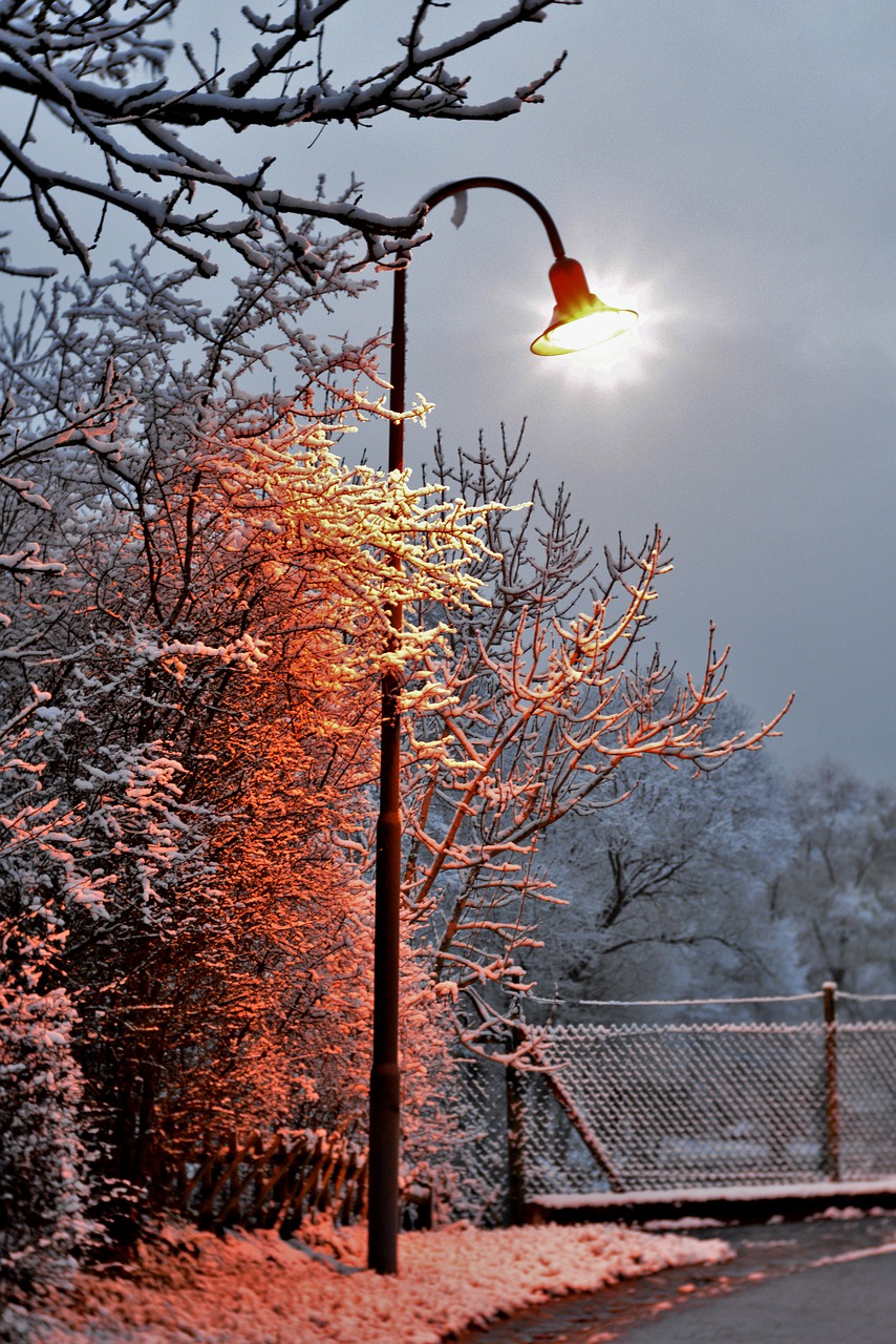 lantern  lamp post  winter free photo