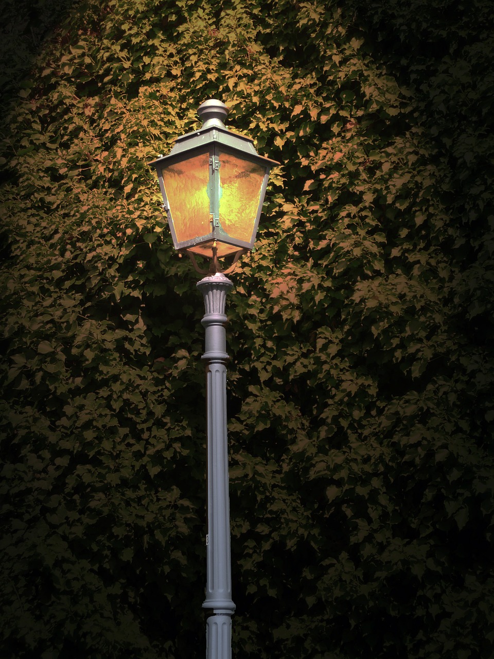 lantern light street lighting free photo