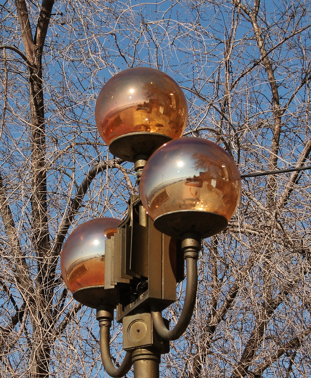 lantern ball light free photo