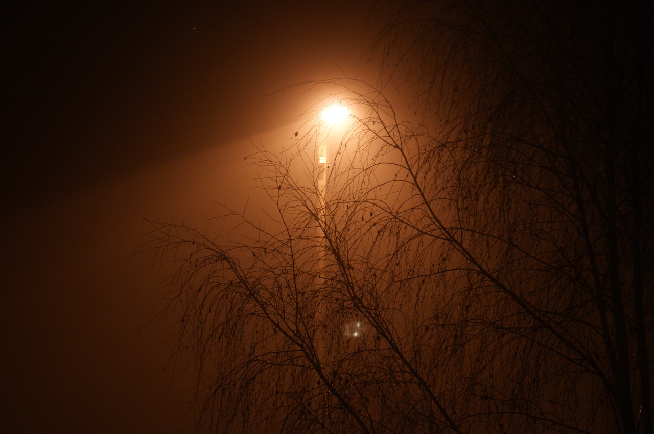 lantern street lamp tree free photo