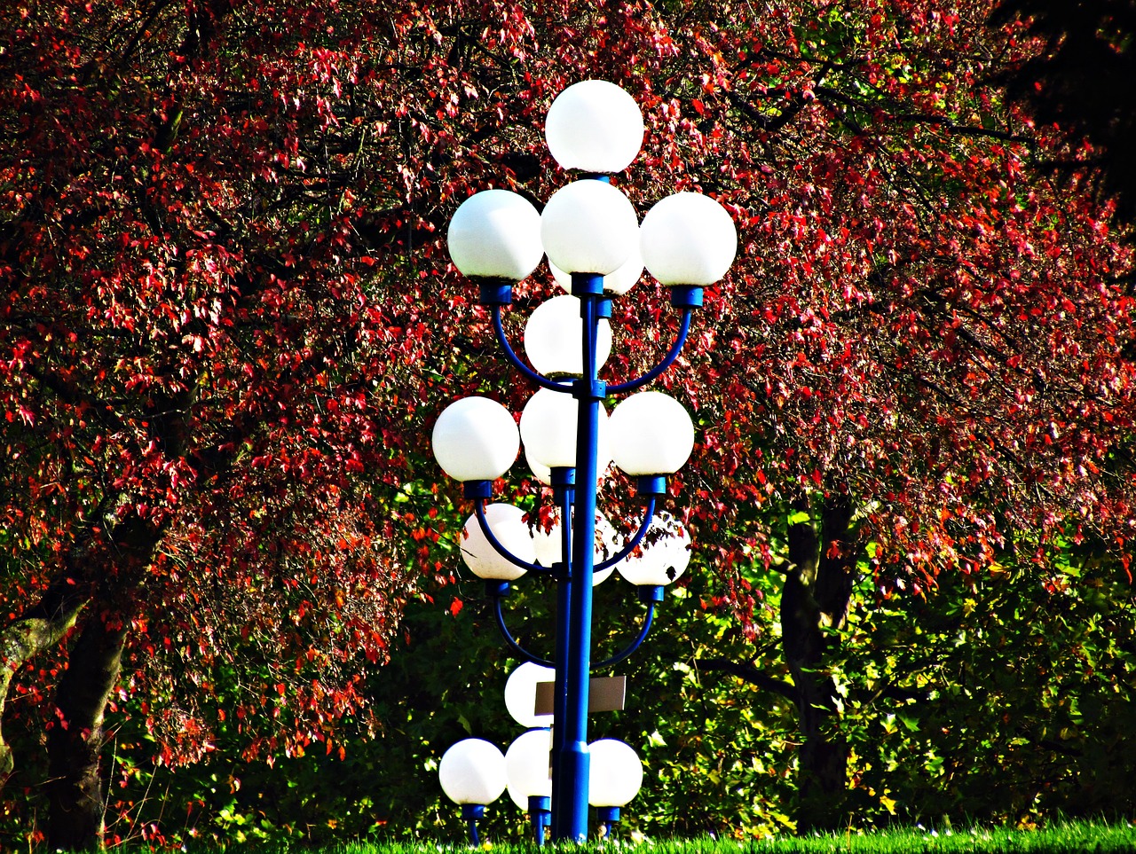 lanterns lantern autumn free photo