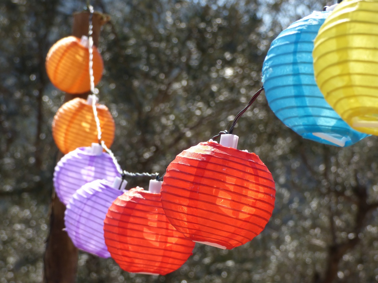 lanterns  lights  berbena free photo