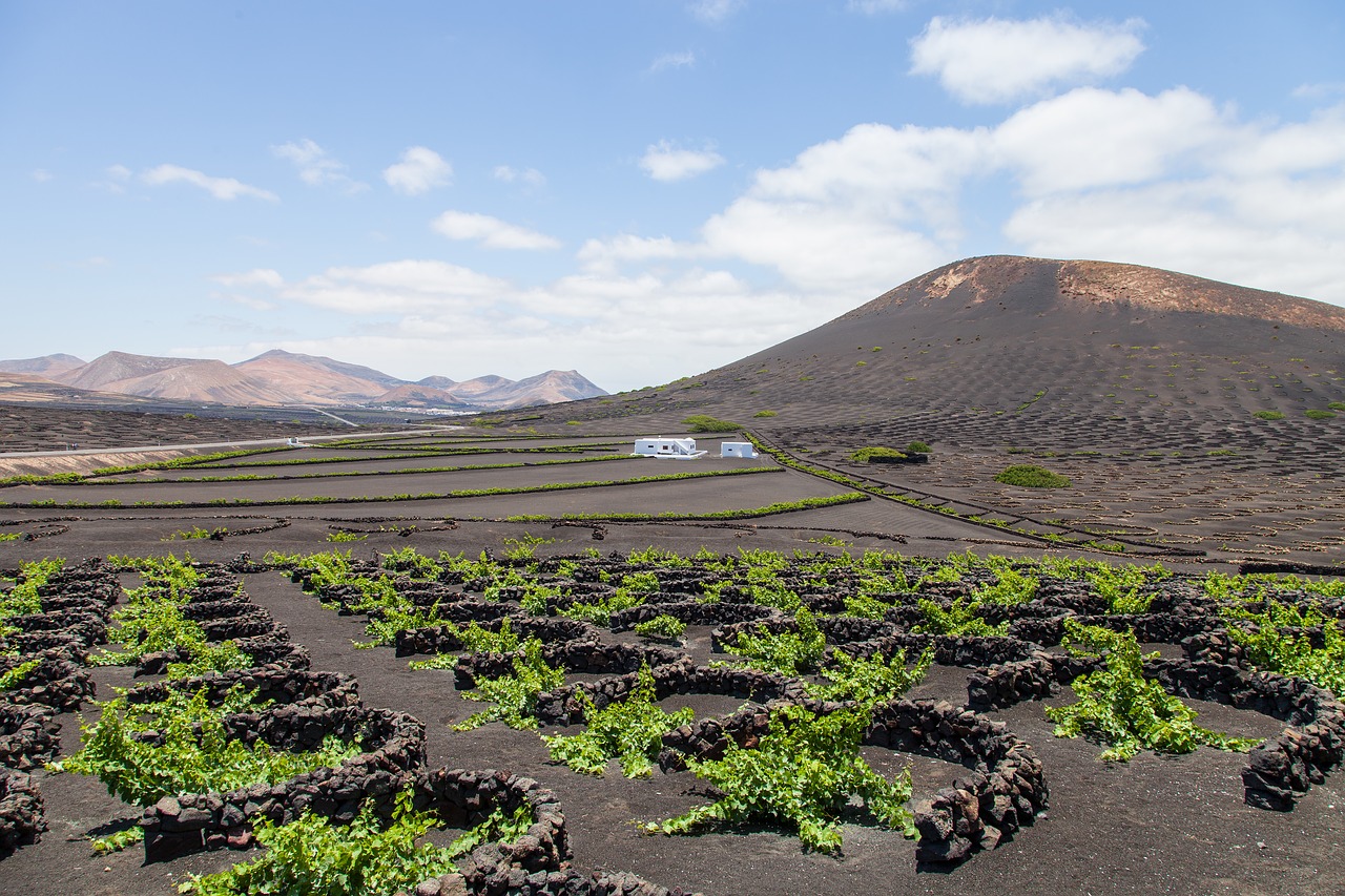 lanzarote  vineyard  landscape free photo