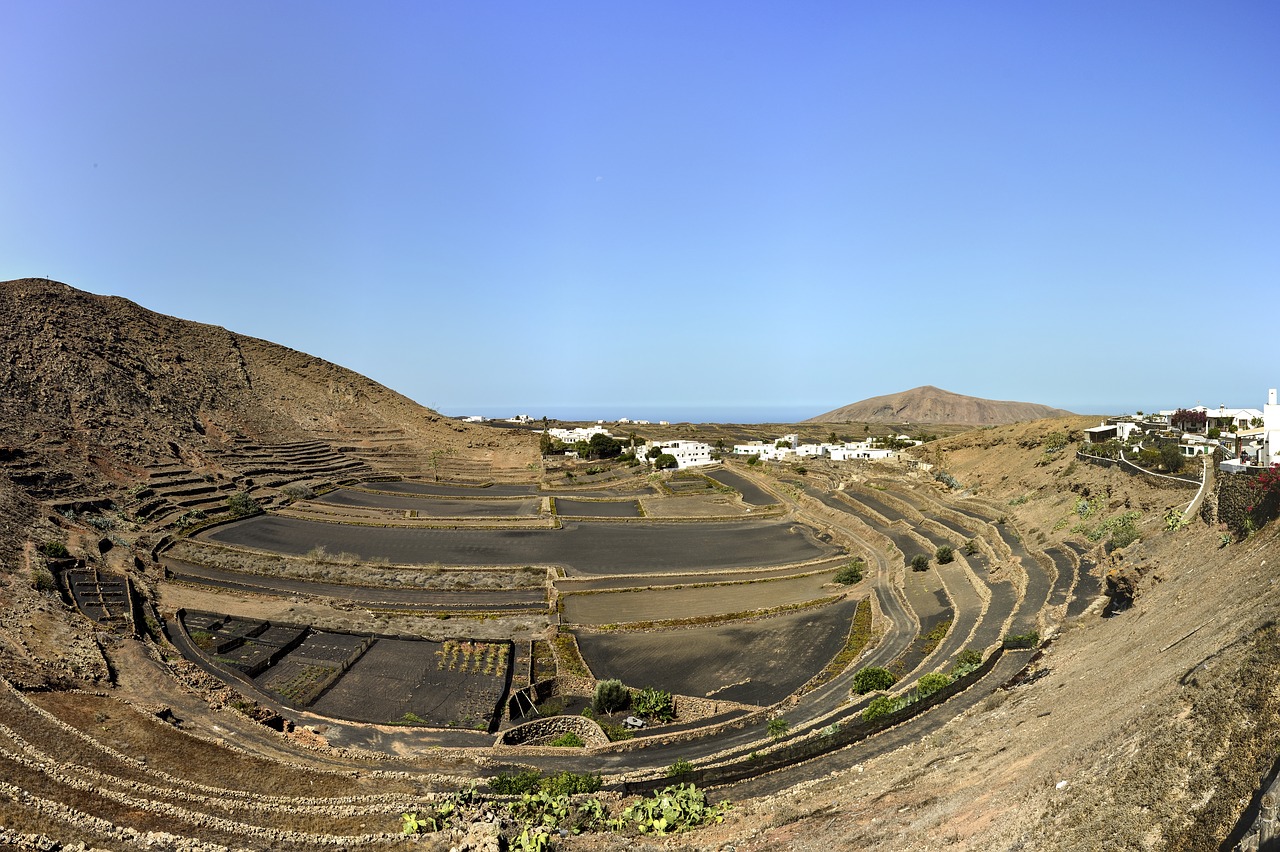 lanzarote  sea  coast free photo