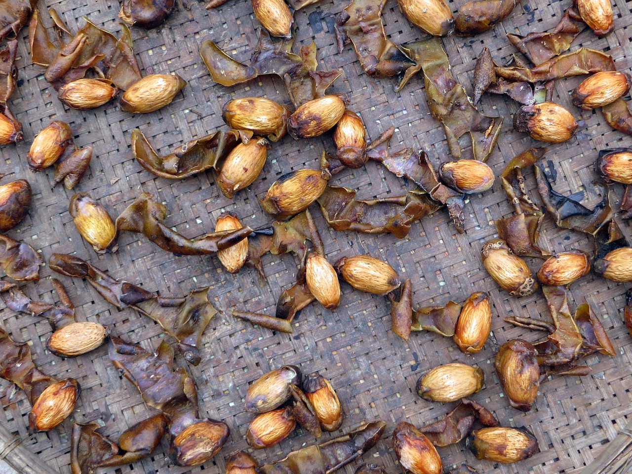 laos peanuts grilling free photo