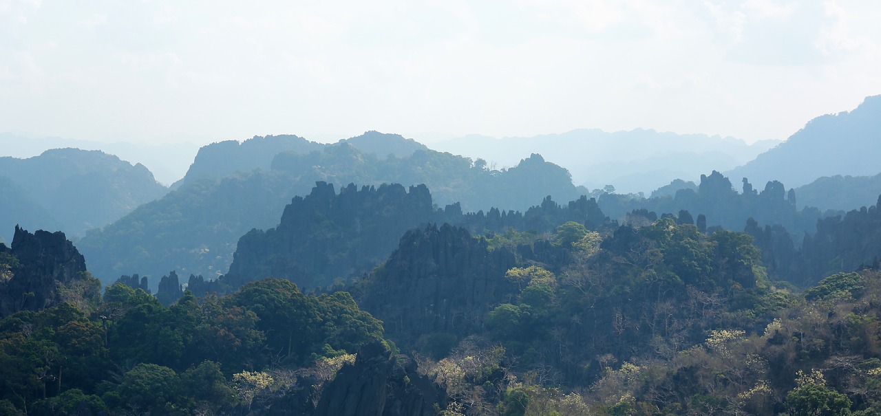 laos  limestone forest  stone forest free photo