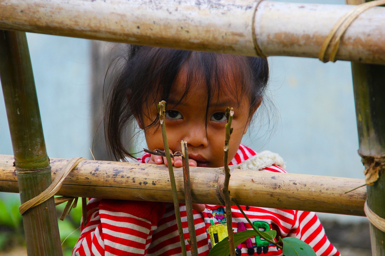 laos girl child staring free photo