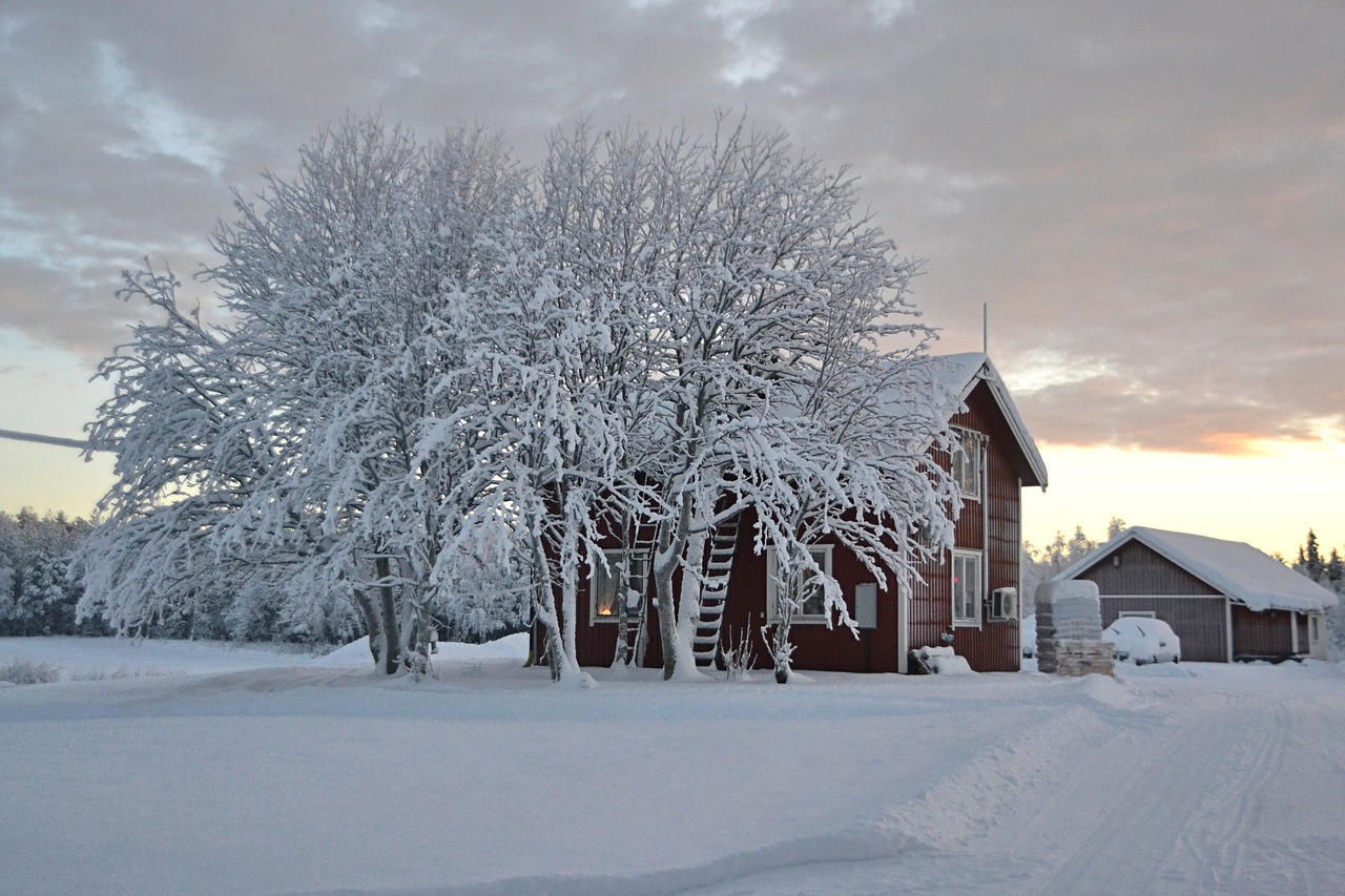 lapland sweden snow free photo