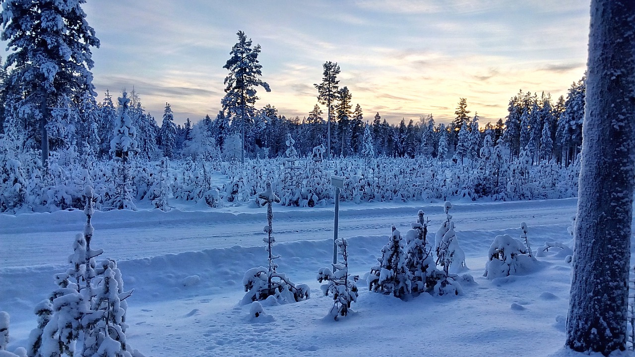 lapland sweden wintry free photo